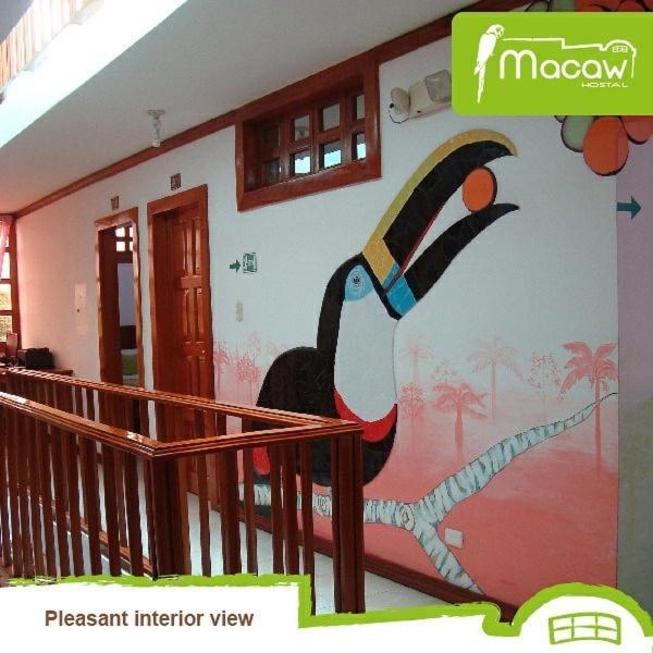 Hostal Macaw Guayaquil Esterno foto